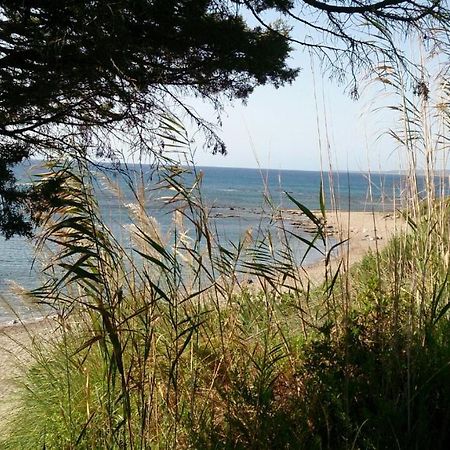 Alisahni Beachfront Villas Kiotari Dış mekan fotoğraf